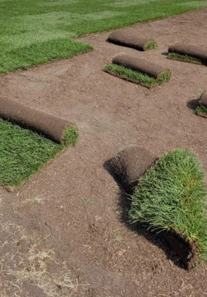 hydroseeding-photo-02