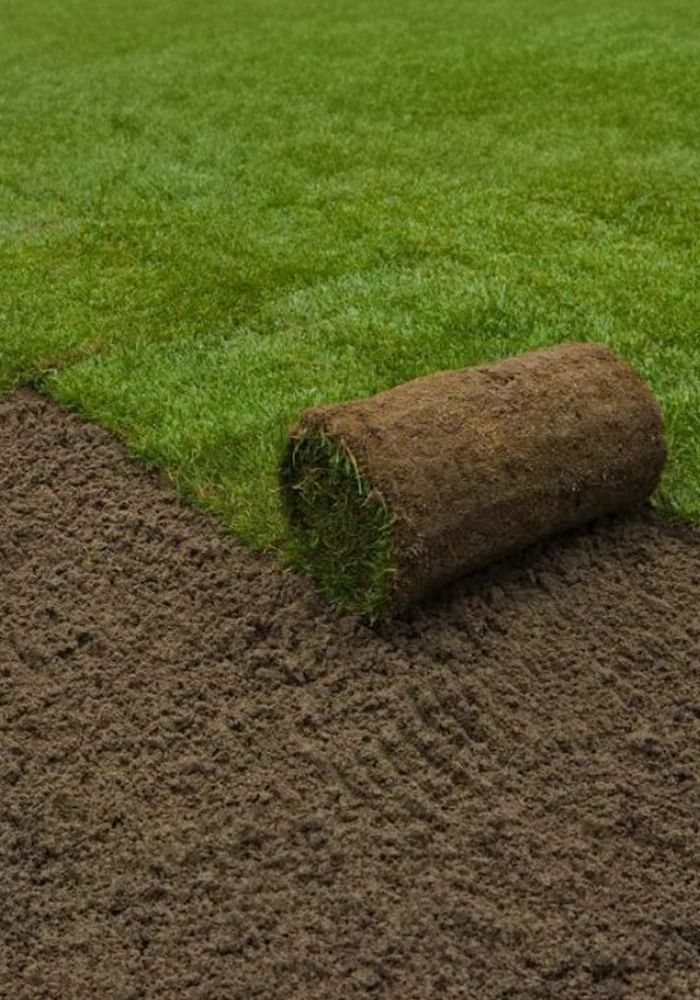 hydroseeding-photo-03